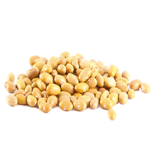 FRIJOL CANARIO - 1 KG