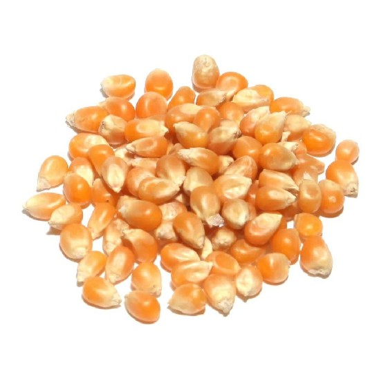 POP CORN - 5 KG