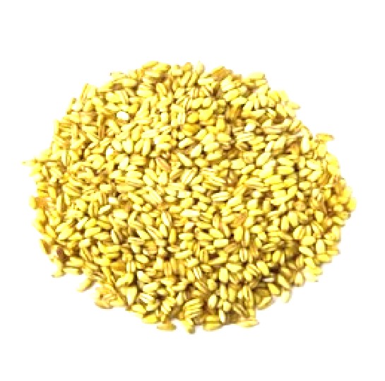TRIGO MOTE - 1 KG